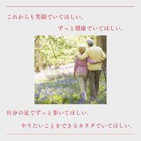 画像2823